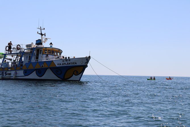 Kayak Tour - Who Should Consider This Tour?