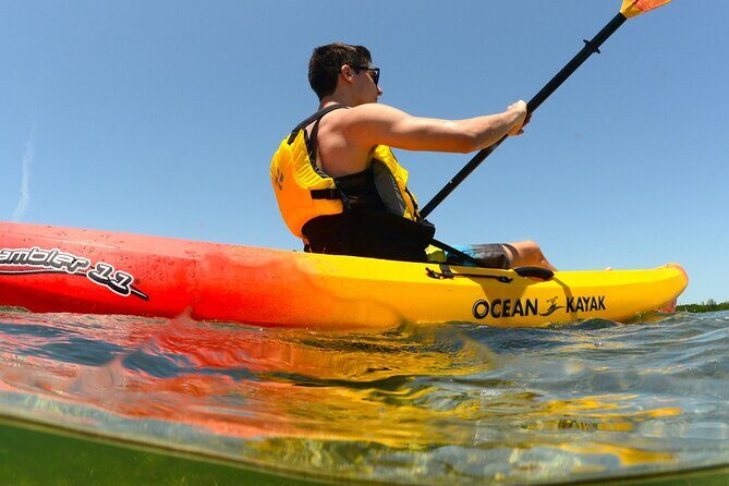 Kayak Tour and Rental - Key Points