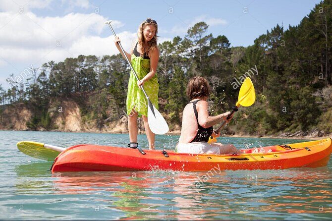 Kayak Tour and Rental - What You Can Expect from the Kayak Tour and Rental