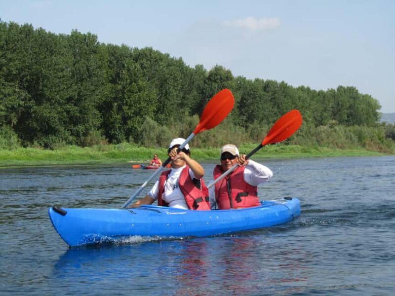Kayak tour and Wine tasting at the Ebro river - Who Should Consider This Tour?
