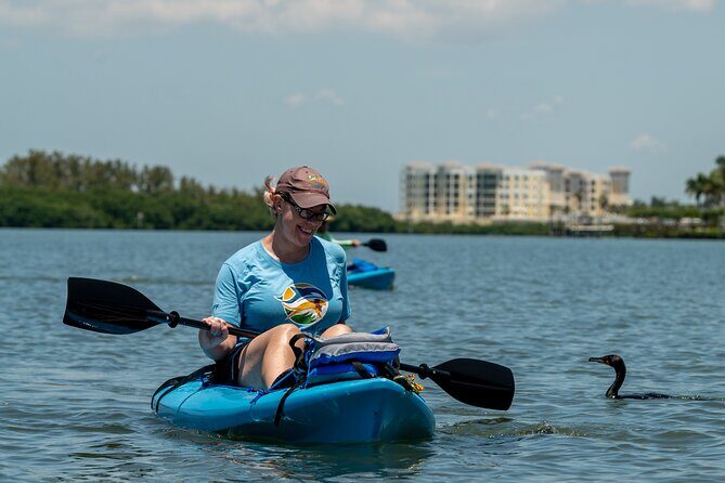 Kayak Tour at Gandy Beach Mangroves with Capt Yak with Capt Yak - What Makes This Kayak Tour Stand Out?