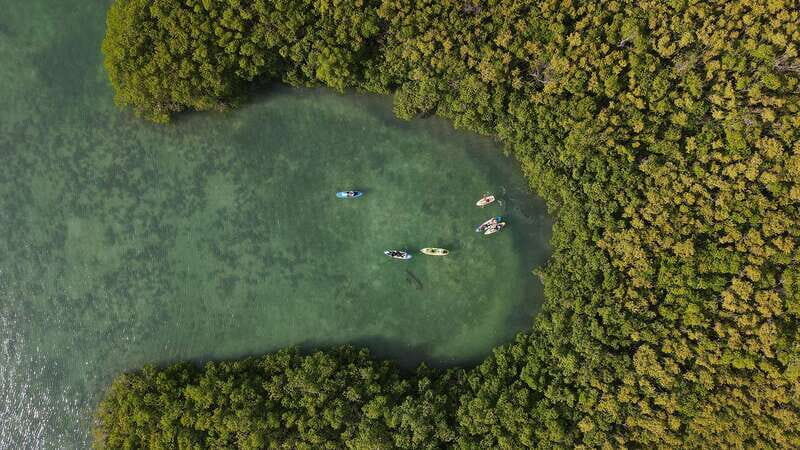 Kayak Tour in Cancun with Photos included - FAQ