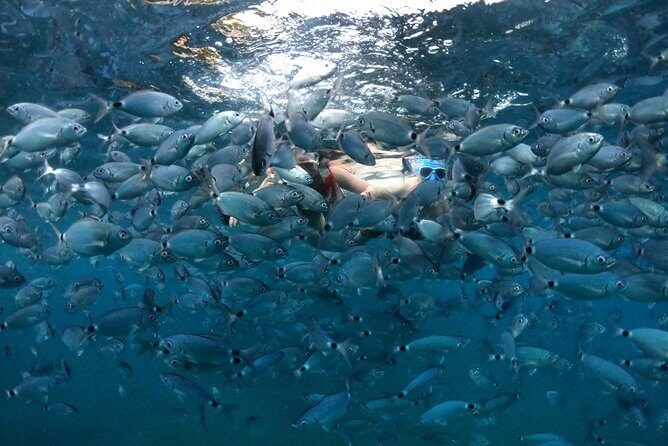 Kayak tour in Pula to Valley of Tears/free drinks+photos included - What to Expect from the Pula Kayak Tour