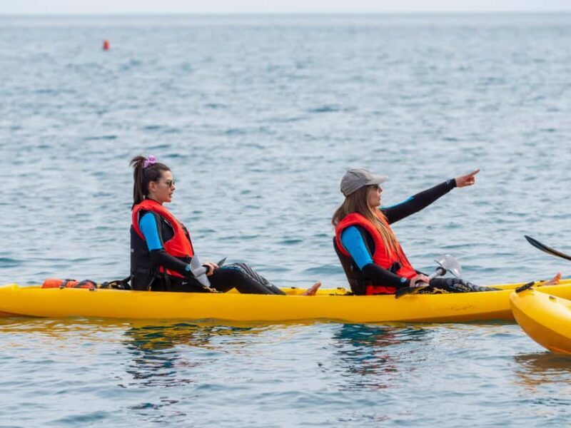Kayak tour in the fairytale bay of Sestri Levante - Key Points