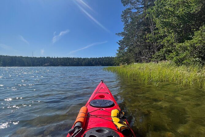 Kayak Tour in the Stockholm Archipelago with Lunch Meal - Practical Info & Tips