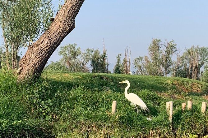 Kayak tour in Xochimilco - Final Thoughts