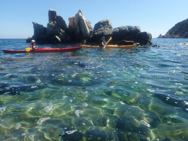 Kayak Tour of Capo Figari, Golfo Aranci (3 hours) - The Experience in Detail