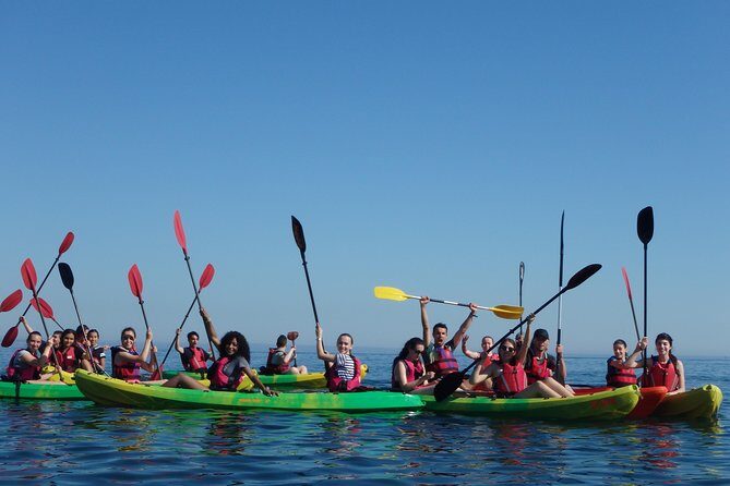 Kayak Tour of Lisbon - Is This Tour Right for You?