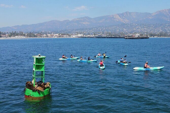 Kayak Tour of Santa Barbara with Experienced Guide - Final Thoughts