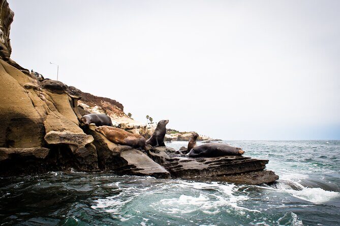 Kayak Tour of the 7 Caves - Duration & Group Size