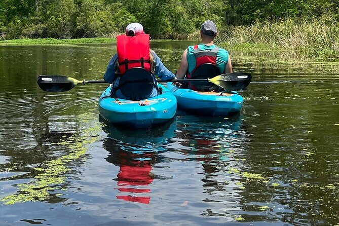 Kayak Tour Of The Honey Island Swamp and Backwaters - The Practical Details