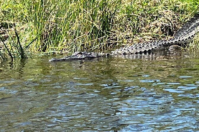 Kayak Tour Of The Honey Island Swamp and Backwaters - Who Is This Tour Best For?