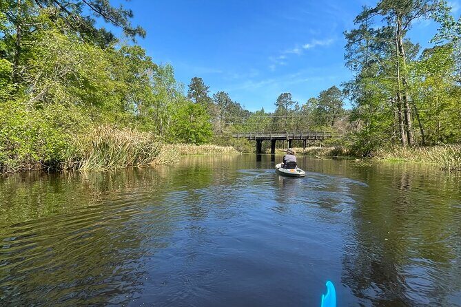 Kayak Tour Of The Honey Island Swamp and Backwaters - Frequently Asked Questions (FAQ)