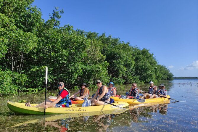 Kayak TOUR POR Laguna Nichupte Cancun - What’s the Experience All About?