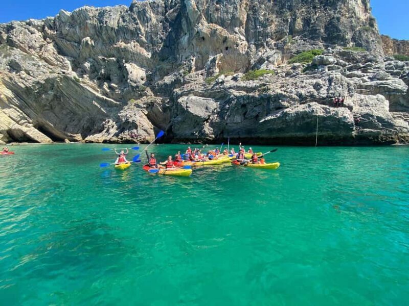 Kayak Tour - Wild Beaches - Key Points