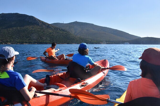 Kayak tour with aperitif and dolphins - Exploring the Kayak Tour in Olbia