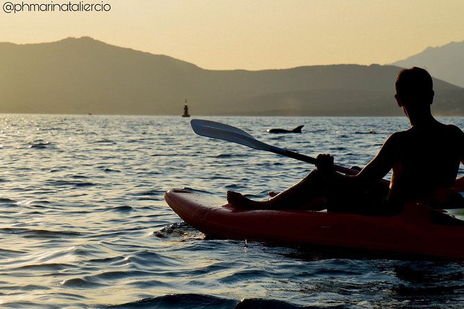 Kayak tour with aperitif and dolphins - The Return Paddle: Ending Where You Started