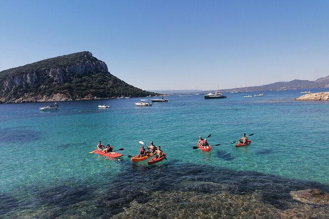 Kayak tour with aperitif and dolphins - The Value Equation: Is It Worth the Money?