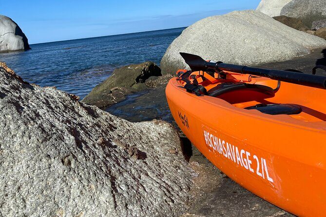 Kayak Tour with Local Guide - The Sum Up