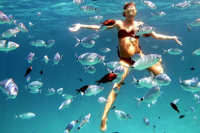 Kayak Tour with Snorkeling and Local Aperitif - What to Expect from This Kayak and Snorkeling Tour