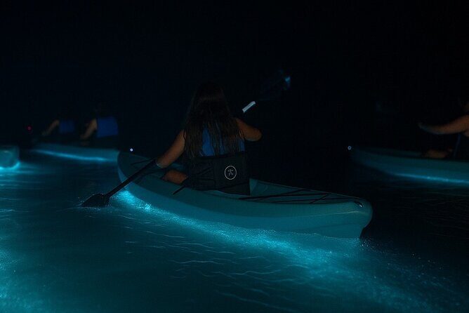 Kayak Tours and Rentals. Dolphins, Manatees, and Bioluminescence! - Discover the Magic of Kayak Tours with Brady Yaks in Cocoa Beach