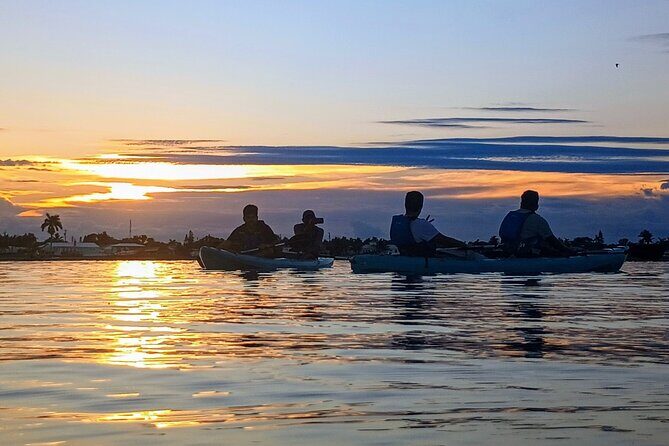 Kayak Tours and Rentals. Dolphins, Manatees, and Bioluminescence! - The Bottom Line: Is It Worth It?