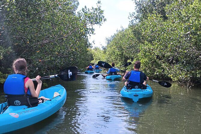 Kayak Tours and Rentals. Dolphins, Manatees, and Bioluminescence! - FAQ