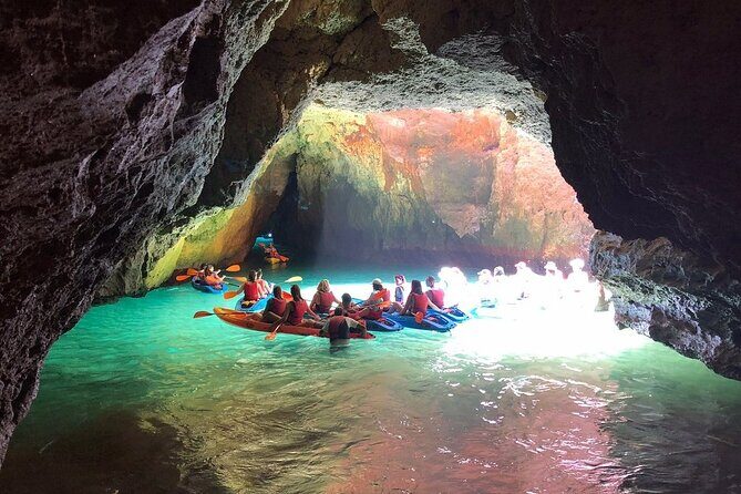 Kayak Tours with Amazing Caves, sea life and Marine Biologist . - Price and Overall Value
