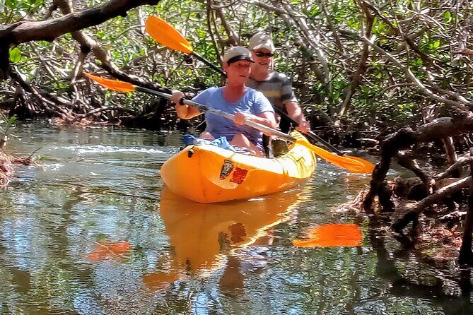 Kayak Trip, 1 Wet Hike + 2 dry hikes in Everglades National Park - Is It Worth the Price?