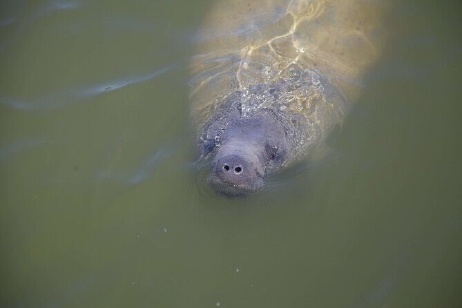 Kayak Trip, 1 Wet Hike + 2 dry hikes in Everglades National Park - Who Is This Tour Best For?