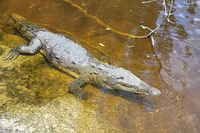 Kayak Trip, 1 Wet Hike + 2 dry hikes in Everglades National Park - Frequently Asked Questions