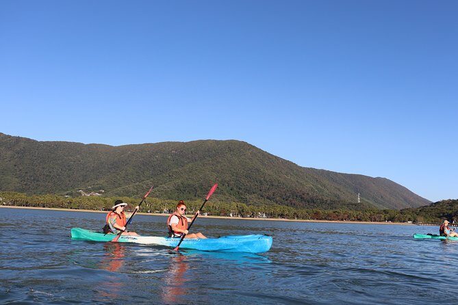 Kayak Turtle Tour from Palm Cove - Authentic Feedback from Travelers