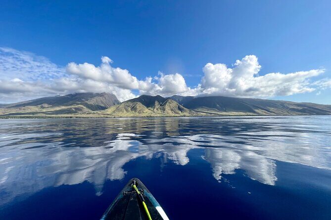 Kayak, Whale Watch, and Snorkel With Optional Photo and Video - The Experience: Why It’s Special