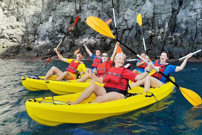 Kayak with Dolphin & Turtle Watching Private Tour - Key Points