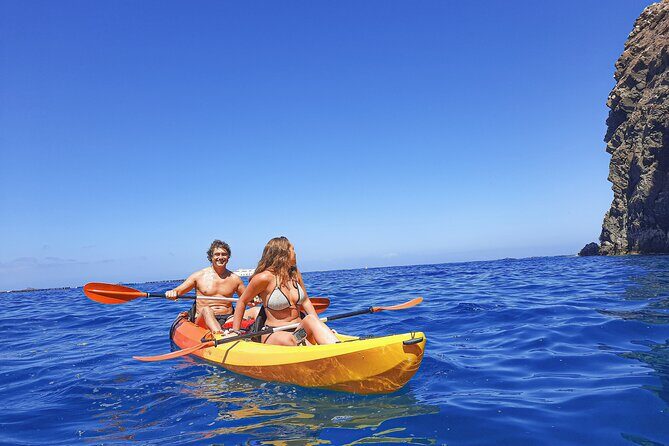 Kayak with Dolphin & Turtle Watching Private Tour - What to Expect from This Kayak Adventure