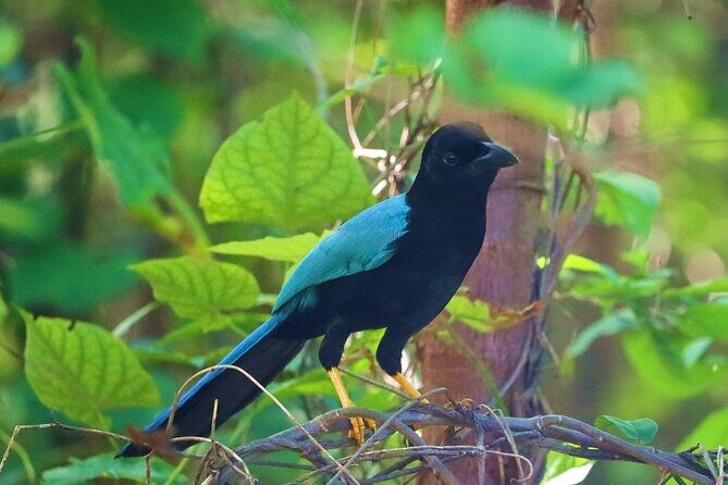 Kayaking Adventure at the Nichupte Lagoon in Cancun - Final Thoughts