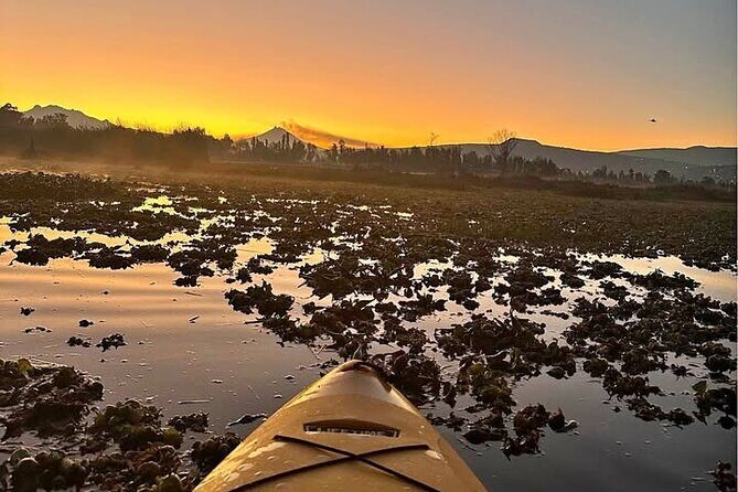 Kayaking adventure through the Xochimilco and Frida Kahlo Canals - Key Points