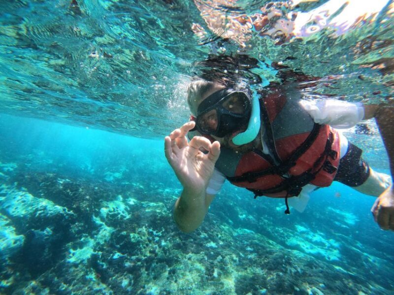 Kayaking and Snorkeling with Turtles - Practical Details