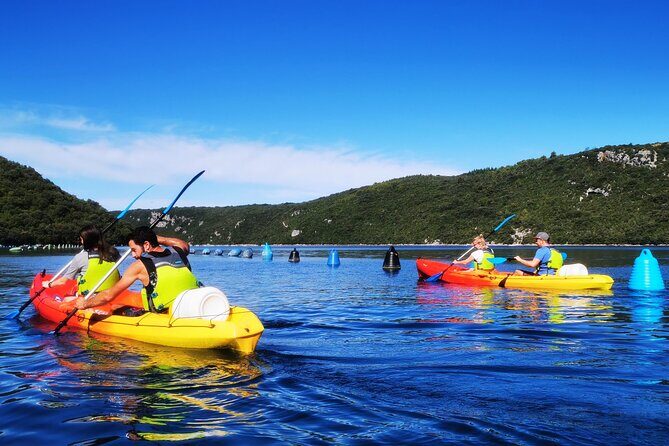 Kayaking Experience in Lim Bay Sea in The Croatian Fjord - Authentic Traveler Experiences