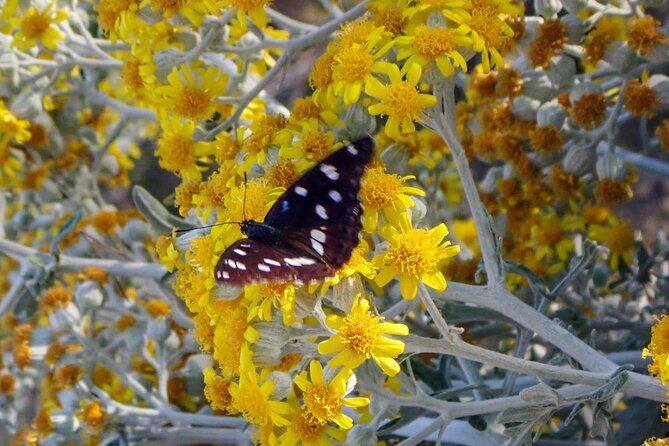 Kayaking Korula's Paradise -Half Day Guided Kayak Tour - FAQ