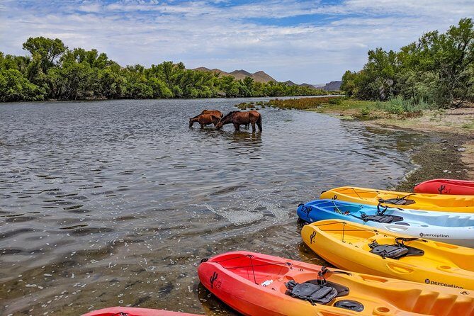 Kayaking the Salt River Foxtail Trip - Cancellation Policy & Additional Info