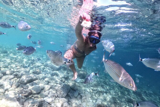 Kayaking to Island Saint Jerolim with snorkeling activitie - Final Thoughts