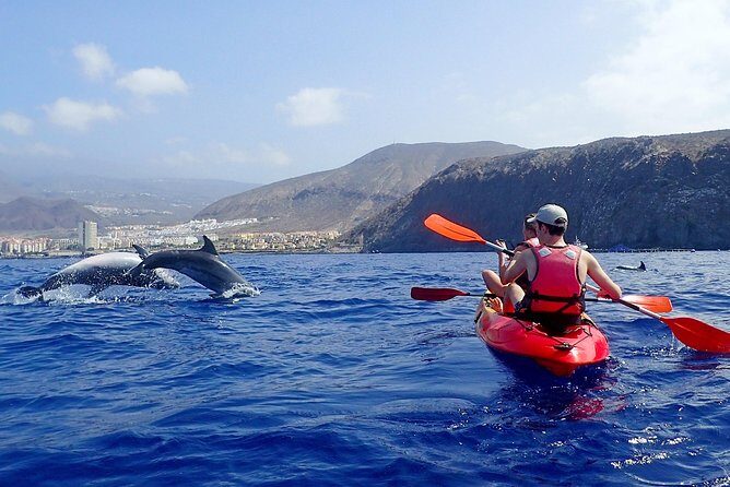 Kayaking with Dolphins and Turtles and Snorkelling in Tenerife - The Experience in Detail