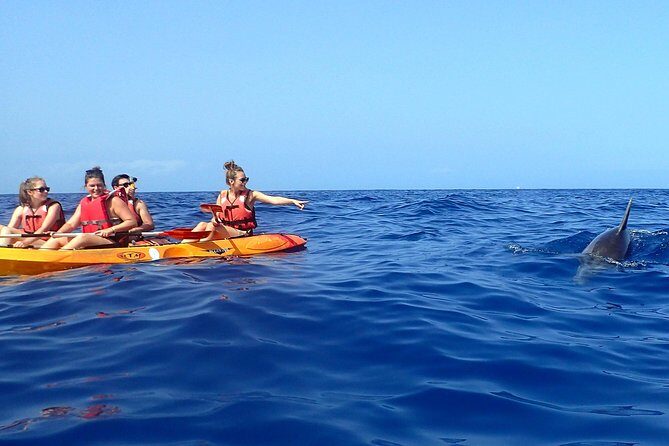 Kayaking with Dolphins and Turtles and Snorkelling in Tenerife - FAQs
