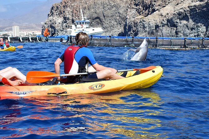 Tenerife: Turtle & Dolphin Kayak Tour with Snorkel & Wetsuit - Practical Logistics That Actually Matter
