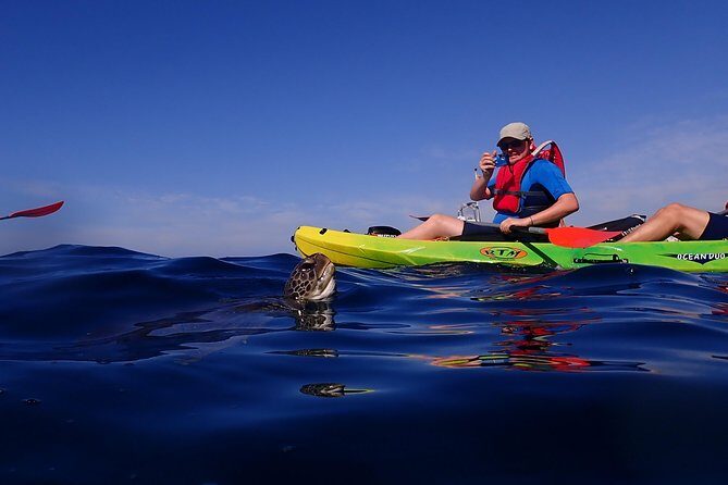 Tenerife: Turtle & Dolphin Kayak Tour with Snorkel & Wetsuit - Who Should Book This, and Who Shouldnt