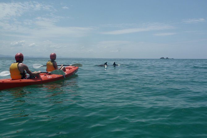 Kayaking with Dolphins in Byron Bay Guided Tour - Starting Point and Booking