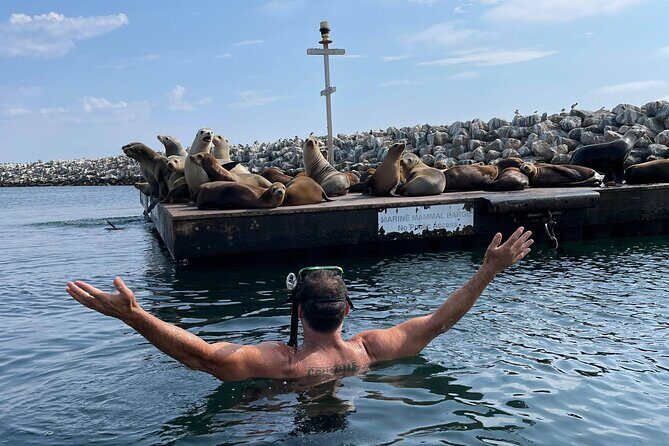 Kayaking with Sea Lions in a Calm Beautiful Harbor - Meeting Point and Logistics