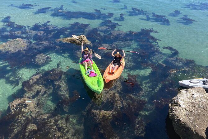 Kayaking with Sea Lions in a Calm Beautiful Harbor - FAQ
