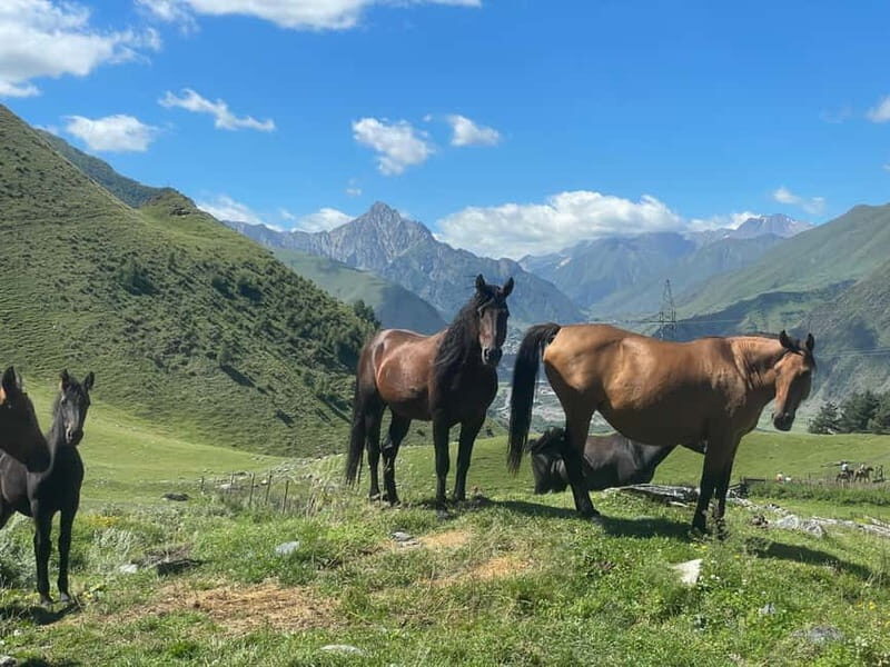 Kazbegi:Sunset Horse Riding Tour from Rooms Hotel Kazbegi - Key Points